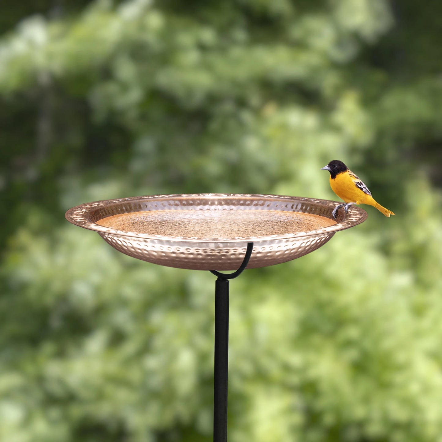 Pure Copper 18" Bird Bath on Garden Pole by Good Directions