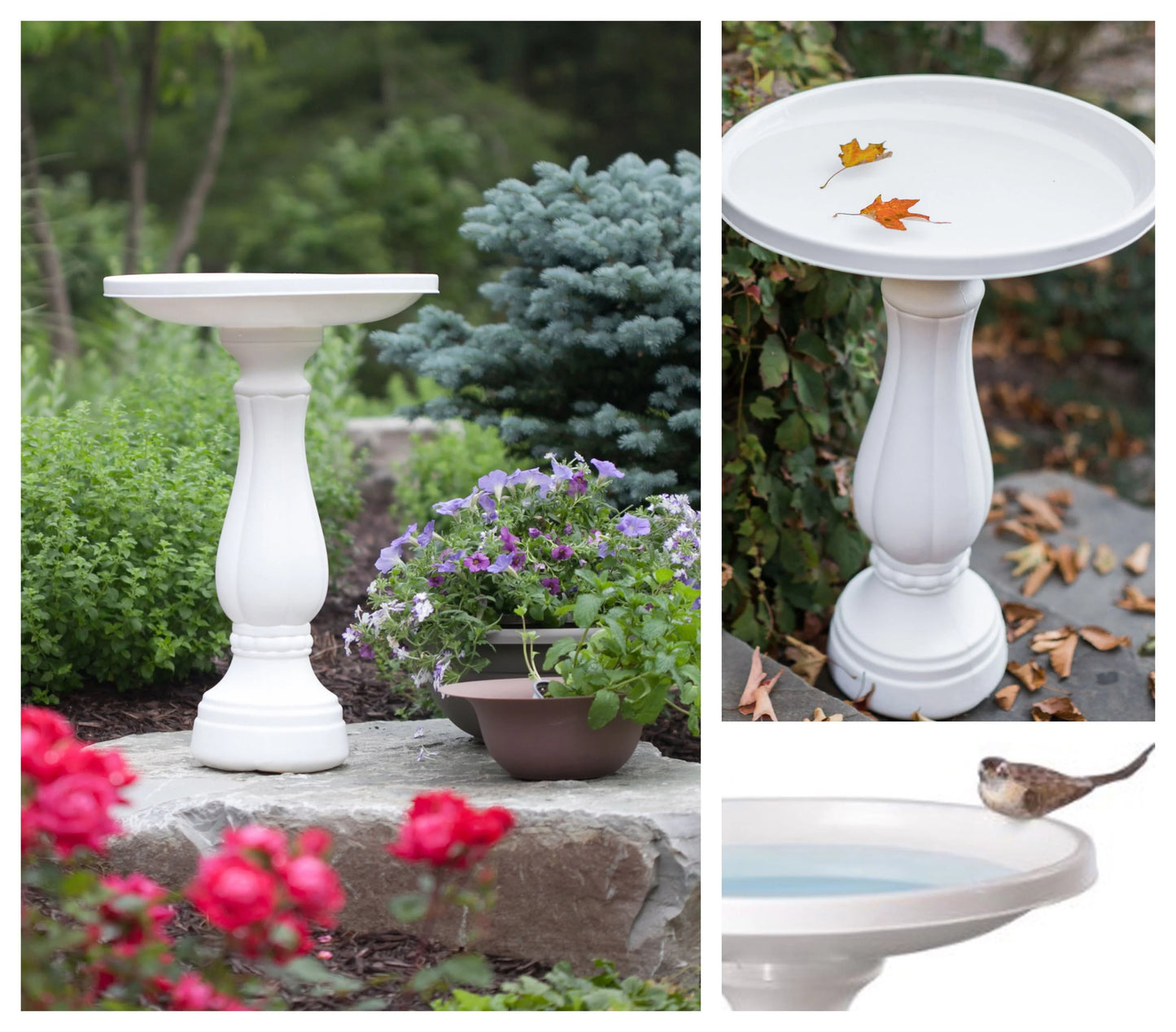 Bloem Promo Birdbath With Pedestal - Charcoal Gray - 17" Basin With 2" Depth, 25" Fillable Pedestal