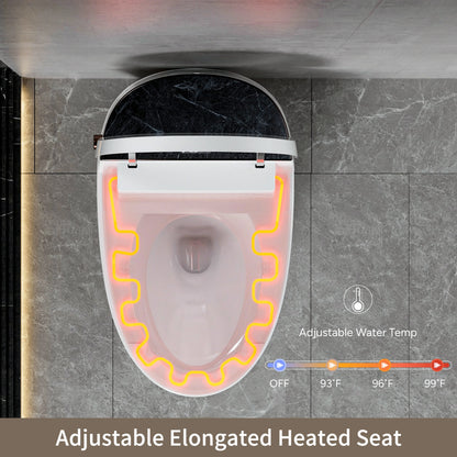 Casta Diva Smart Toilet, 12'' Rough in Elongated One Piece Ceramic Toilet with Bidet for Bathrooms