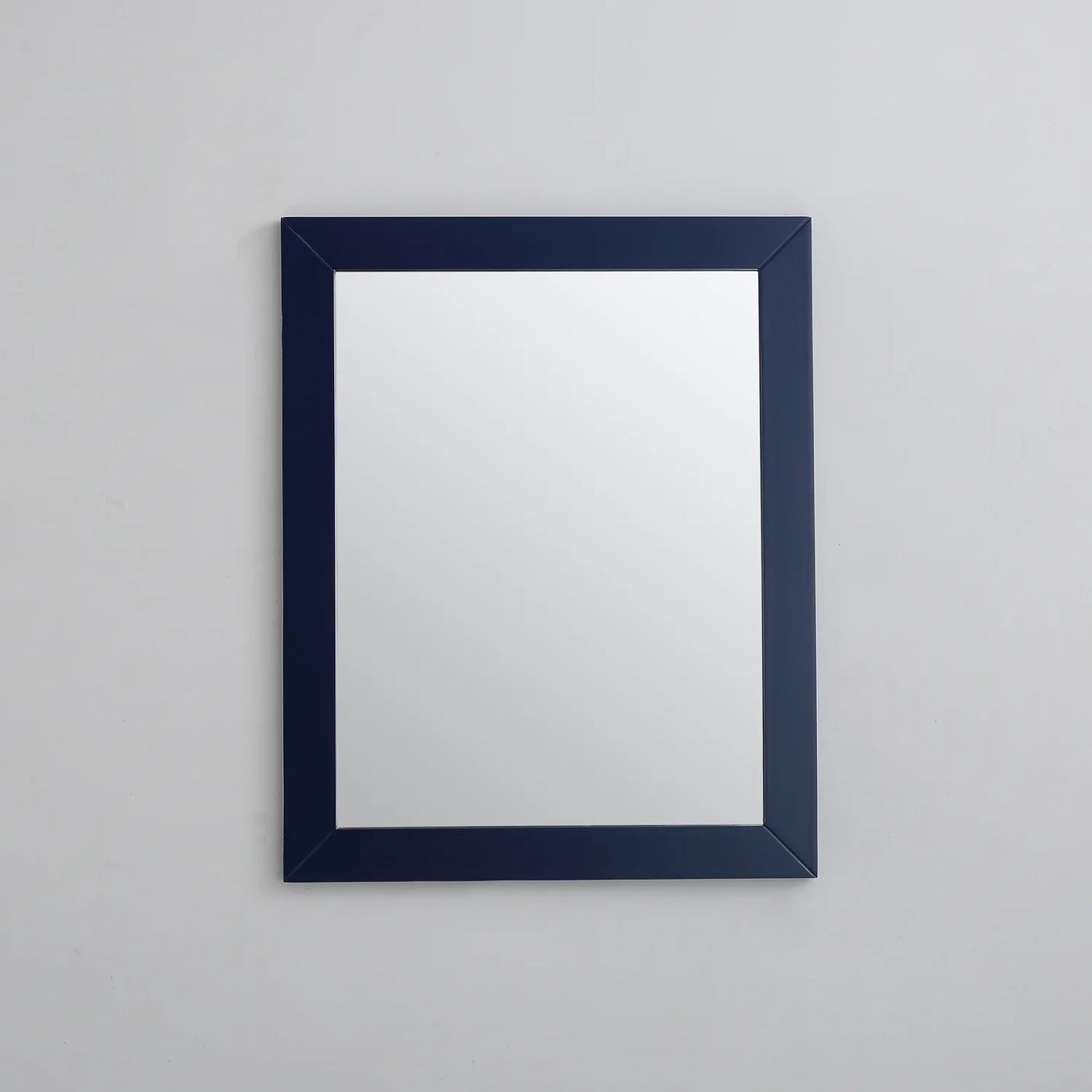 EVIVA Acclaim 24X30 Transitional Blue Bathroom Mirror