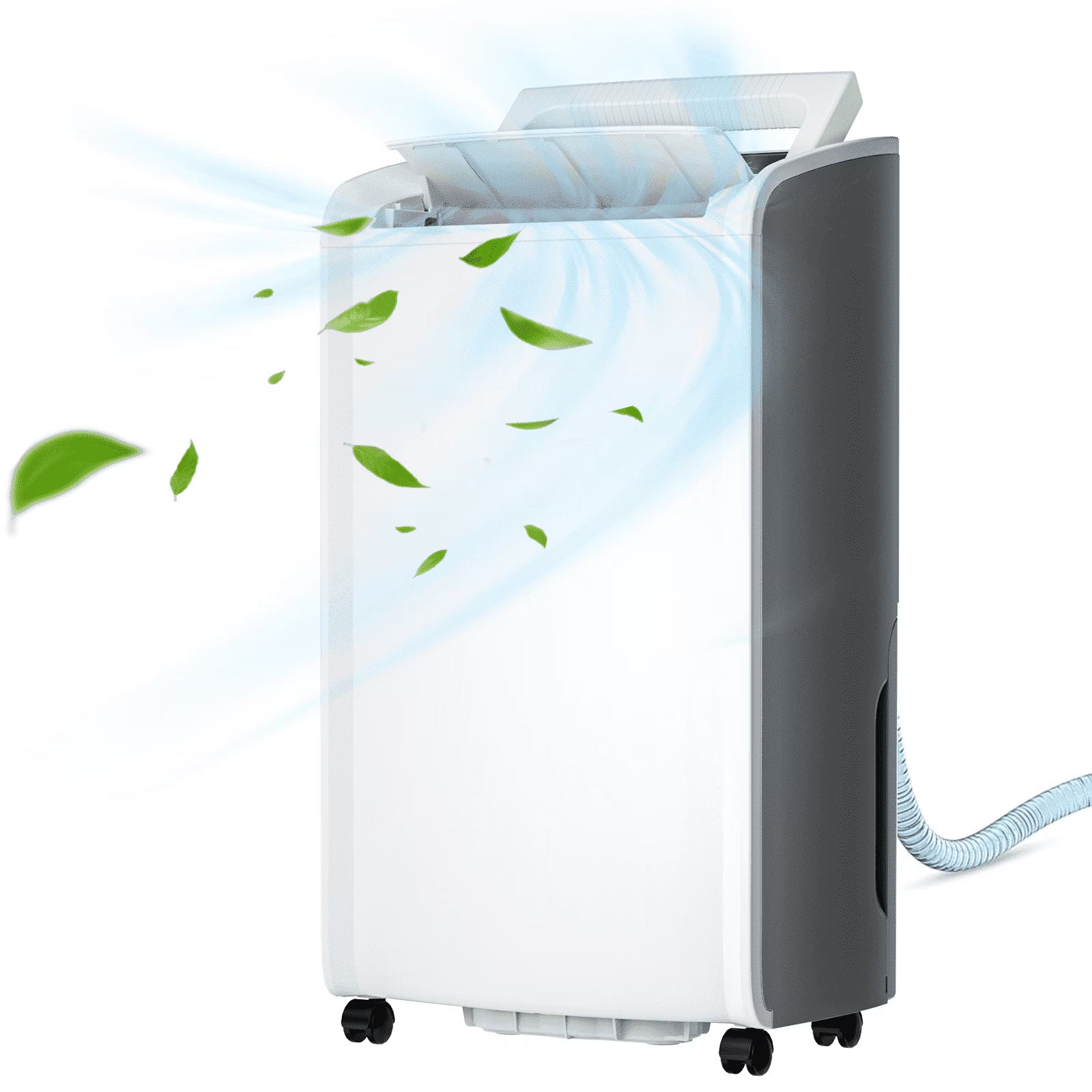 Rocyis 70 Pints Dehumidifier for 5000 Sq. Ft. Home, with Auto Shut off, Drain Hose, Reusable Filter, 4 Modes, for Bedroom & Bathroom