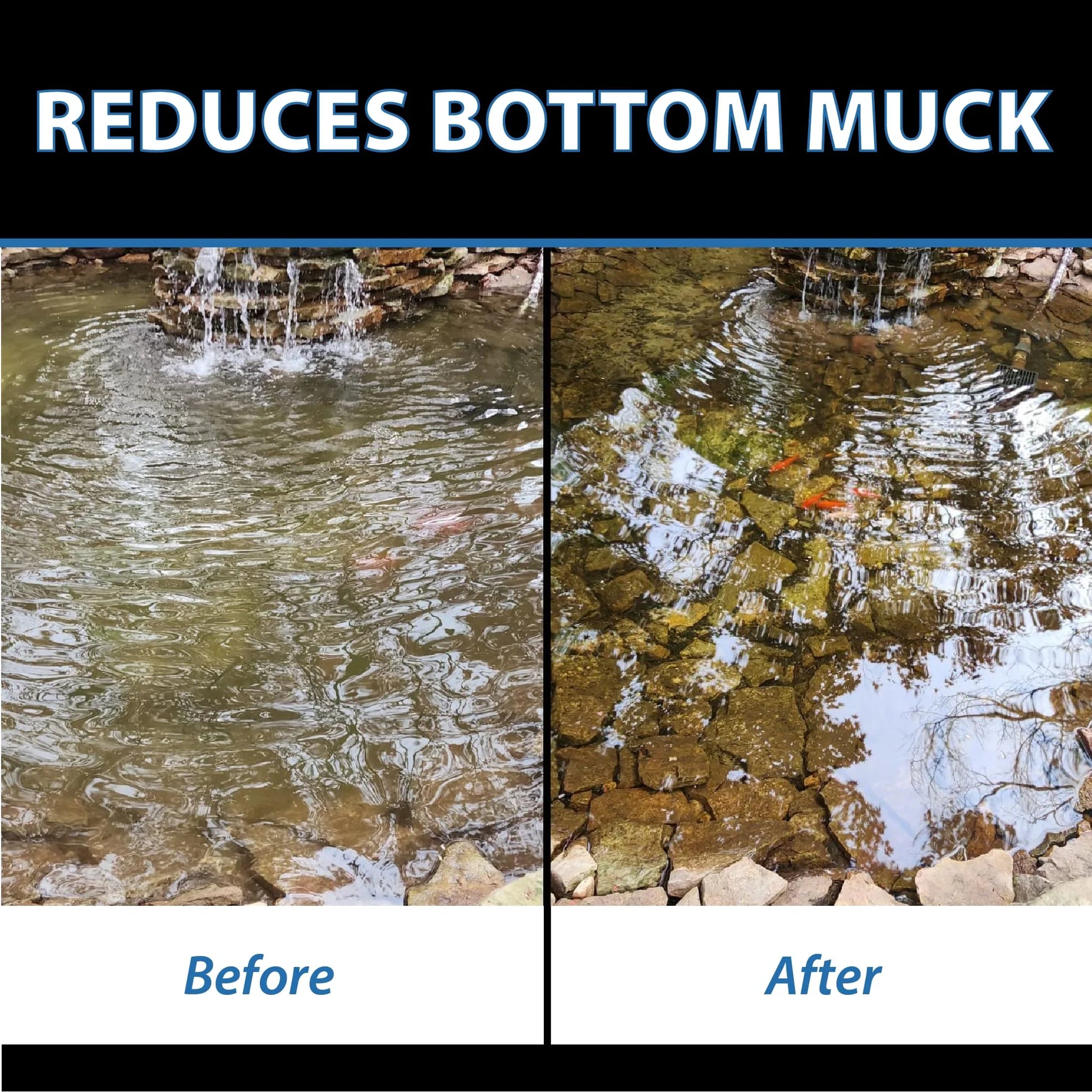 CrystalClear MuckOff, Natural Pond Muck Treatment, Water Garden, Fountain & Bird Bath Sludge Remover, Living Beneficial Bacteria Clarifier with Enzyme, Fish, Aquatic Animal, & Pet Safe, 384 Tablets