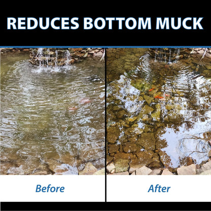 CrystalClear MuckOff, Natural Pond Muck Treatment, Water Garden, Fountain & Bird Bath Sludge Remover, Living Beneficial Bacteria Clarifier with Enzyme, Fish, Aquatic Animal, & Pet Safe, 384 Tablets