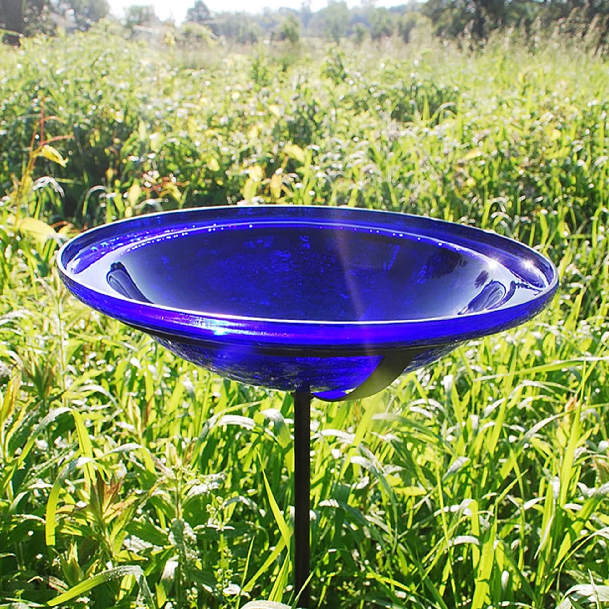 Achla Designs 12 In Hand Blown Crackle Glass Birdbath w/ Stake, Cobalt Blue