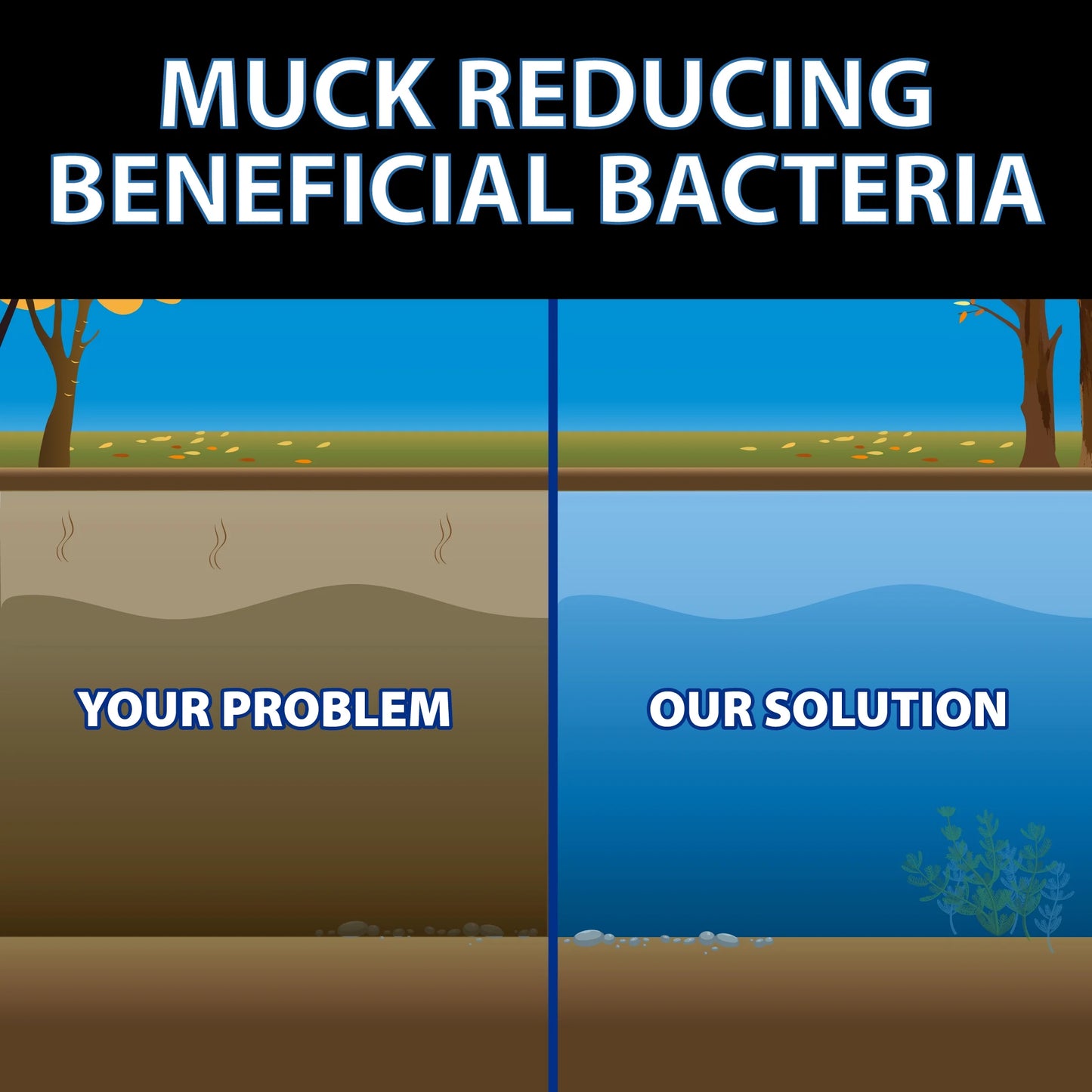 CrystalClear MuckOff, Natural Pond Muck Treatment, Water Garden, Fountain & Bird Bath Sludge Remover, Living Beneficial Bacteria Clarifier with Enzyme, Fish, Aquatic Animal, & Pet Safe, 384 Tablets