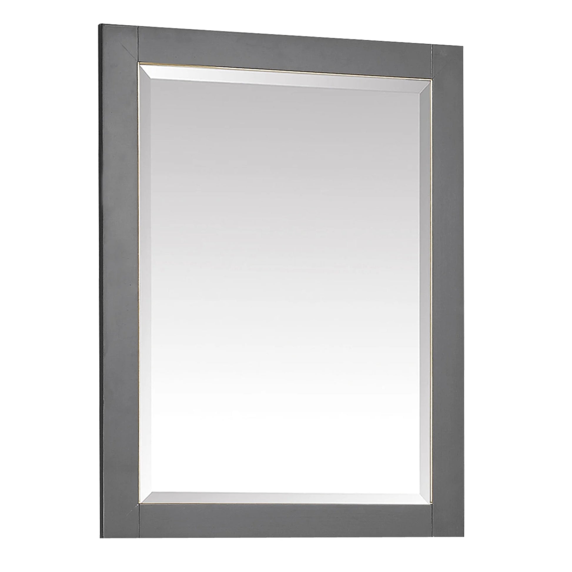 Avanity 170512-M24 Allie / Austen 24" W X 32" H Contemporary Rectangular Framed Bathroom