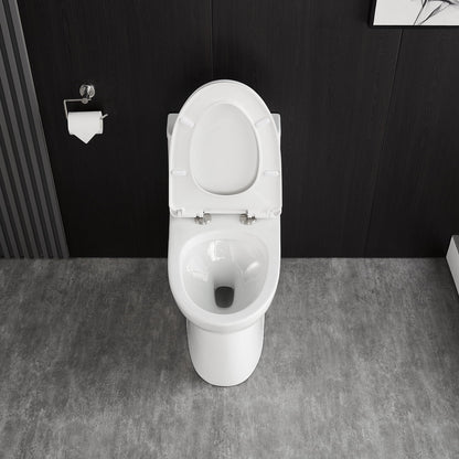 DeerValley Ursa DV-1F52677 Elongated One-Piece Toilet Ceramic 0.8/1.28 GPF Dual Flush Bathroom Toilets