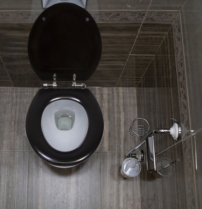 Dalton Toilet Seat Round Soft Close ??Black Rustic Wooden Round Standard Toilet Seat for Bathroom ??Design House, 561241-BLK