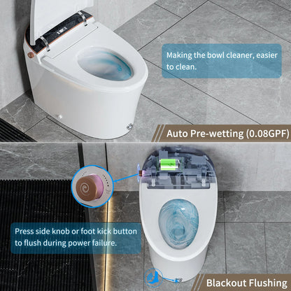 Casta Diva Smart Toilet, 12'' Rough in Elongated One Piece Ceramic Toilet with Bidet for Bathrooms
