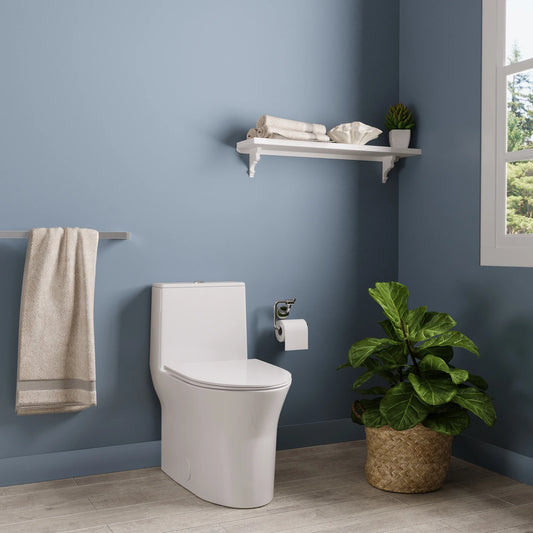 DV-1F0250 One Piece Toilet For Bathroom, Modern Bathroom Toilet with Dual Flush 1.1/1.6 Gpf Fully Skirted Toilets(Soft Close Seat)