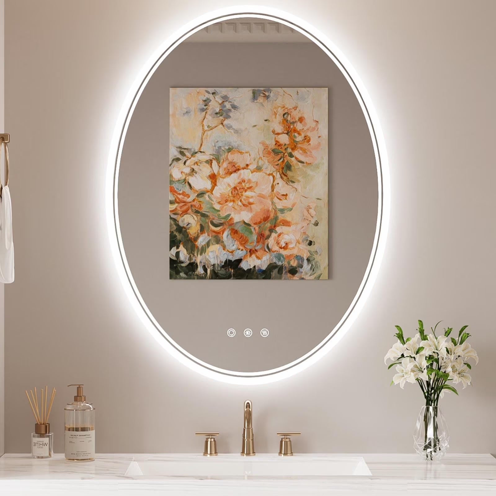 Funtouch 20" x 28" Oval LED Bathroom Mirror with Lights, Anti Fog LED Bathroom Mirror???Dimmable, Front and Backlit, 3 Colors, Memory, Shatterproof