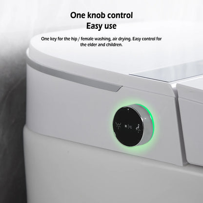 Teekyooly Smart Toilet,One Piece Bidet Toilet for Bathrooms,Modern Elongated Toilet with Warm Water, Foot Sensor Operation, Heated Bidet Seat,Electric Tankless Toilets with LED Display