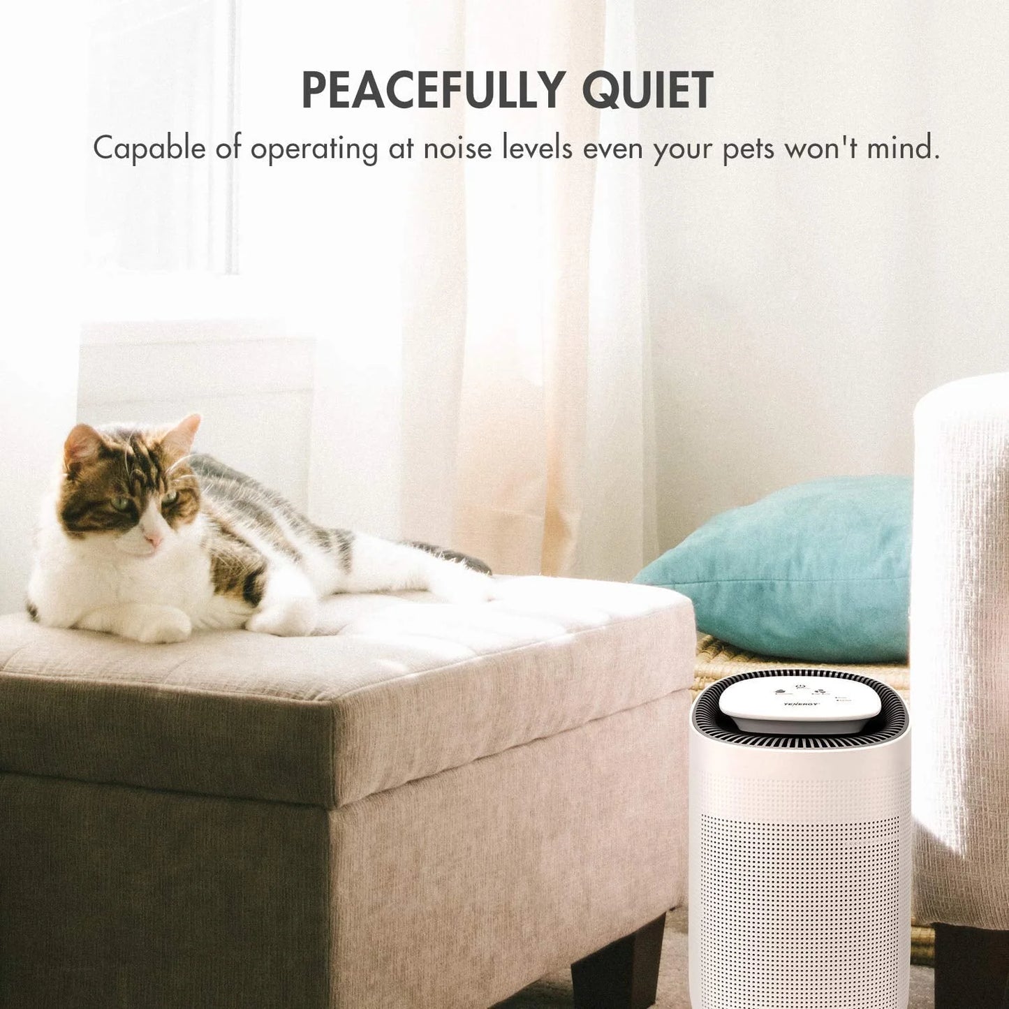 Tenergy Sorbi 1000ml Air Dehumidifier w/Air Purifying Function, True HEPA Filter, Auto Shutoff, Touch Control Adjustable Air Speed, Ultra-Quiet Allergies Eliminator, Ideal for Closets and Bathrooms