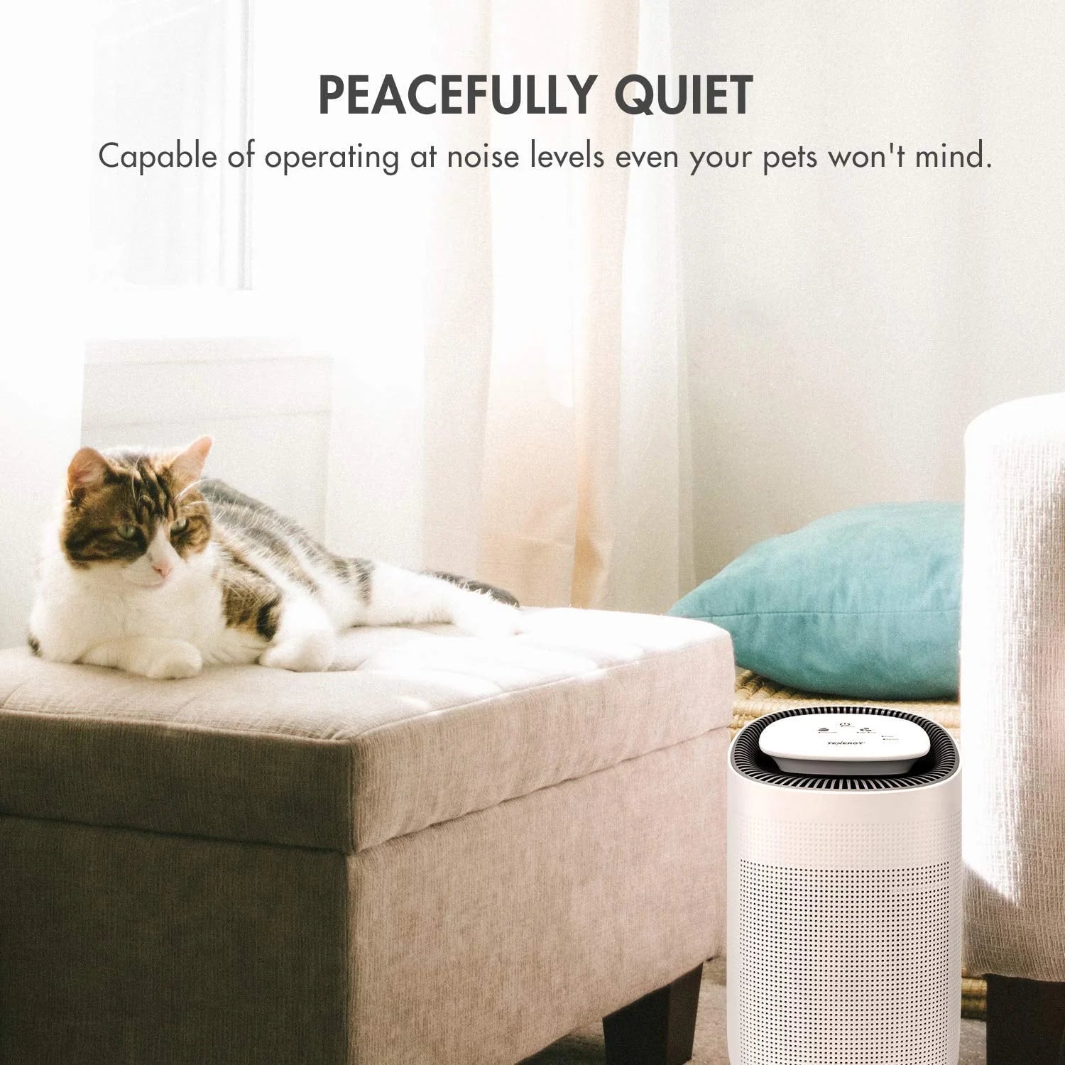 Tenergy Sorbi 1000ml Air Dehumidifier w/Air Purifying Function, True HEPA Filter, Auto Shutoff, Touch Control Adjustable Air Speed, Ultra-Quiet Allergies Eliminator, Ideal for Closets and Bathrooms