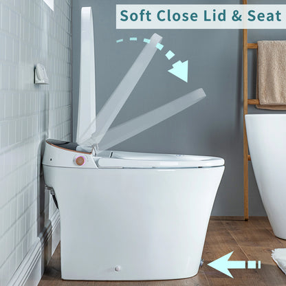 Casta Diva Smart Toilet, 12'' Rough in Elongated One Piece Ceramic Toilet with Bidet for Bathrooms