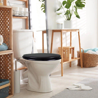 Dalton Toilet Seat Round Soft Close ??Black Rustic Wooden Round Standard Toilet Seat for Bathroom ??Design House, 561241-BLK