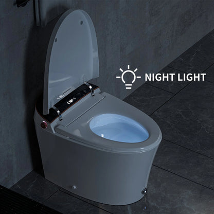 Casta Diva Smart Toilet, 12'' Rough in Elongated One Piece Ceramic Toilet with Bidet for Bathrooms