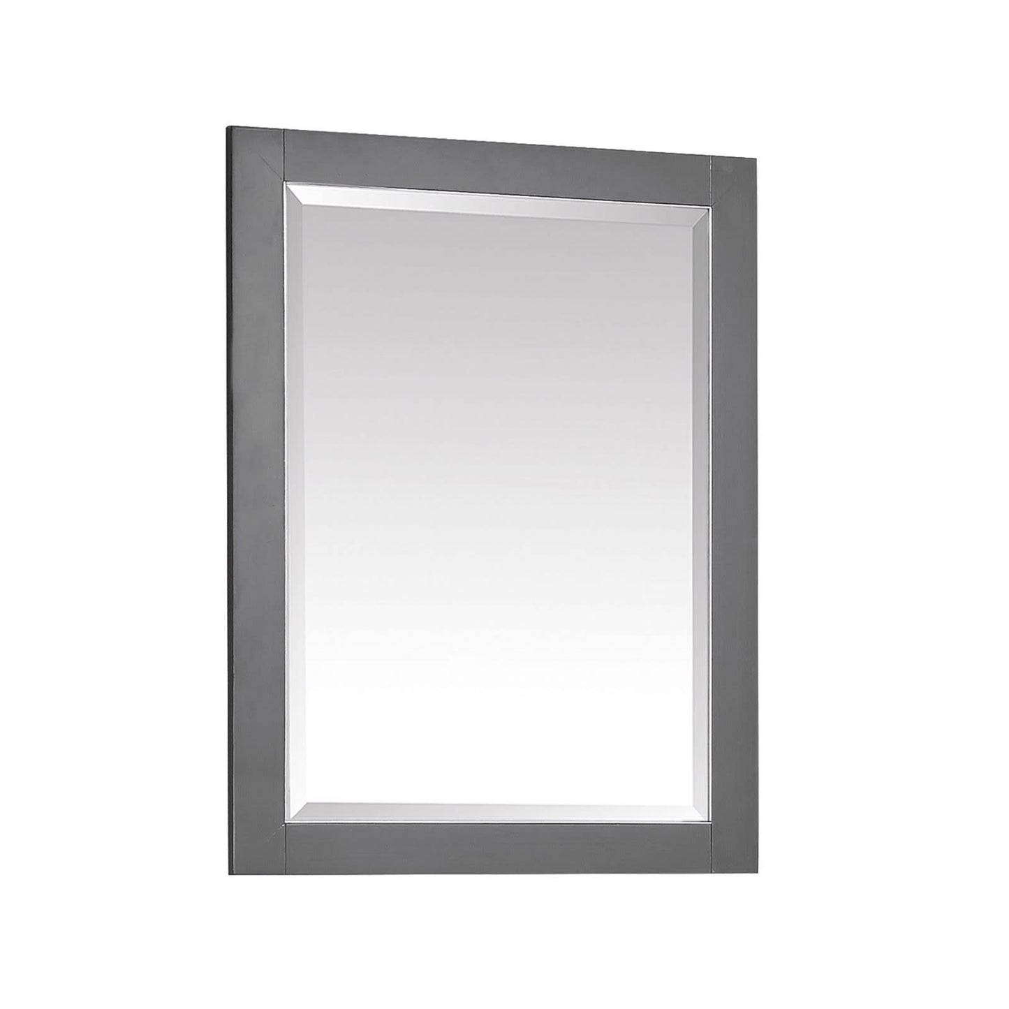 Avanity 170512-M24 Allie / Austen 24" W X 32" H Contemporary Rectangular Framed Bathroom