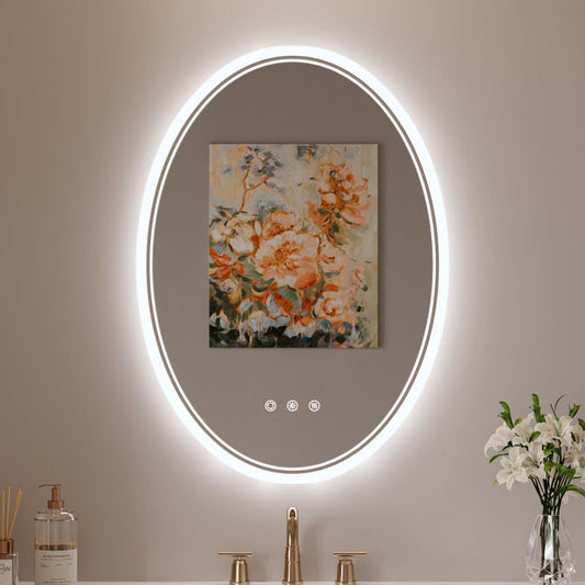 Funtouch 20" x 28" Oval LED Bathroom Mirror with Lights, Anti Fog LED Bathroom Mirror???Dimmable, Front and Backlit, 3 Colors, Memory, Shatterproof