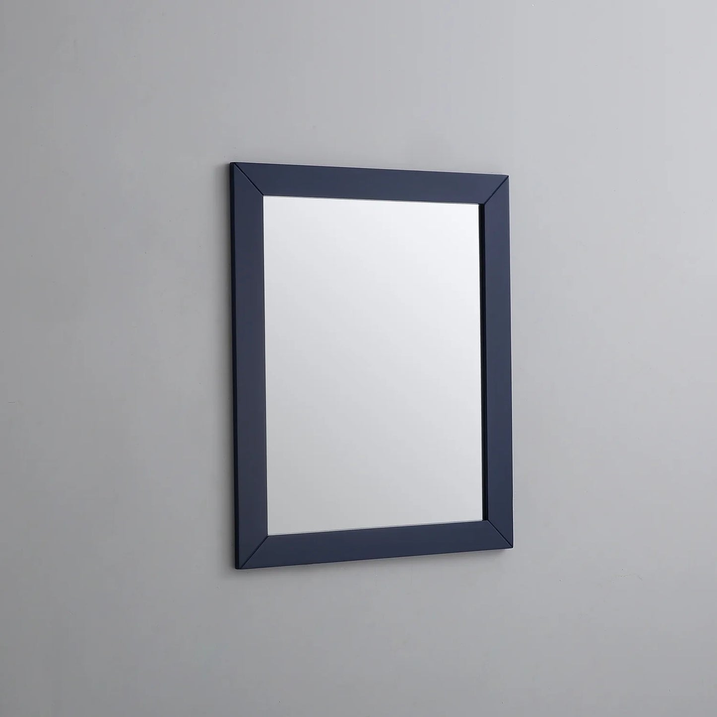 EVIVA Acclaim 24X30 Transitional Blue Bathroom Mirror