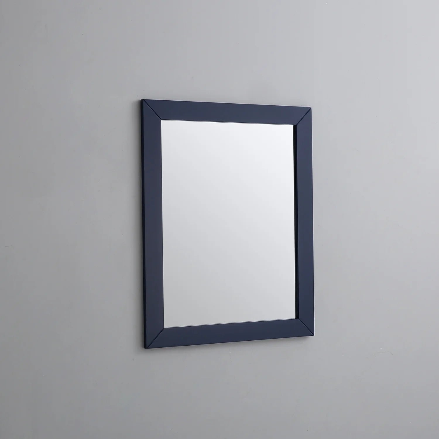 EVIVA Acclaim 24X30 Transitional Blue Bathroom Mirror